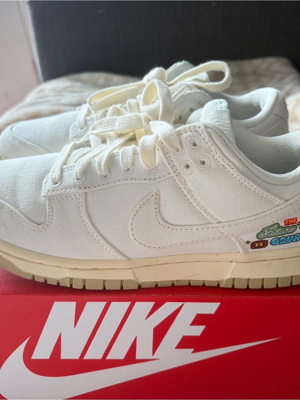 Women’s Nike dunks 6.5